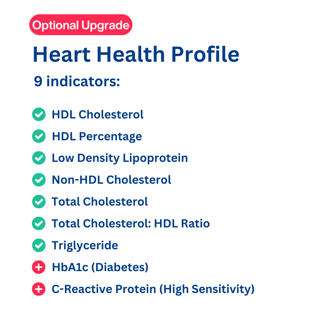 Full Cholesterol Lipid Profile