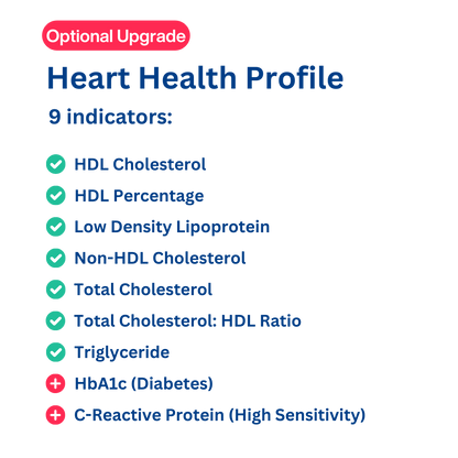 Full Cholesterol Lipid Profile